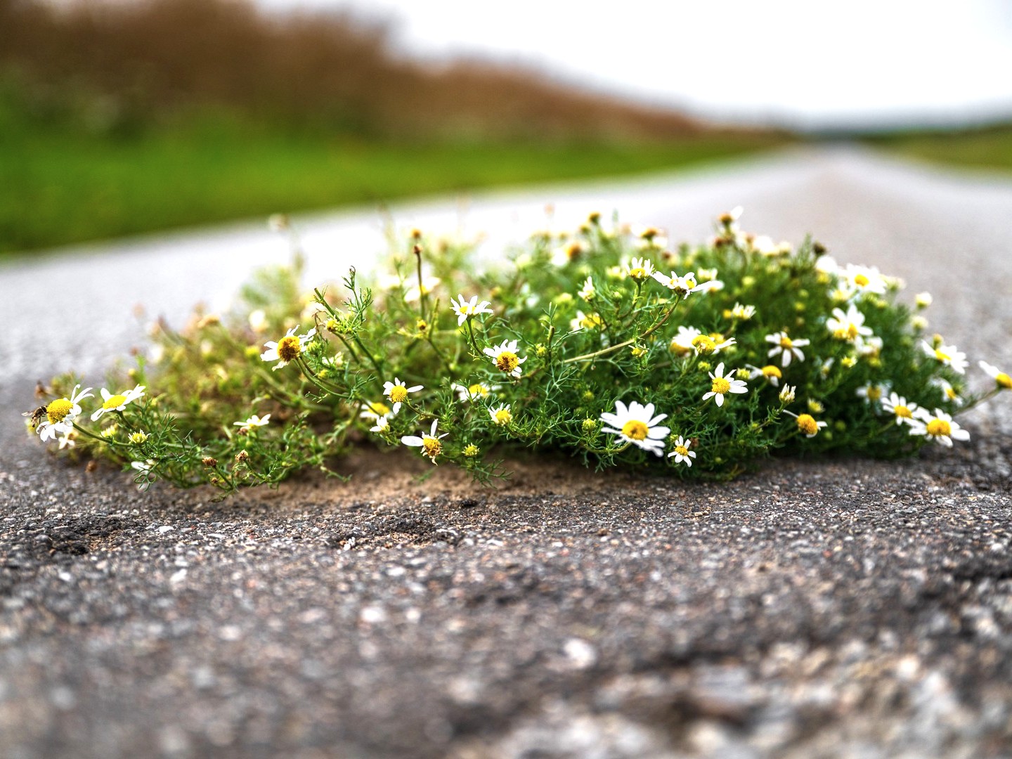 Die stille Kraft des Lebens. © Foto: Carsten Zündorf Hinweis zum Fotografen »