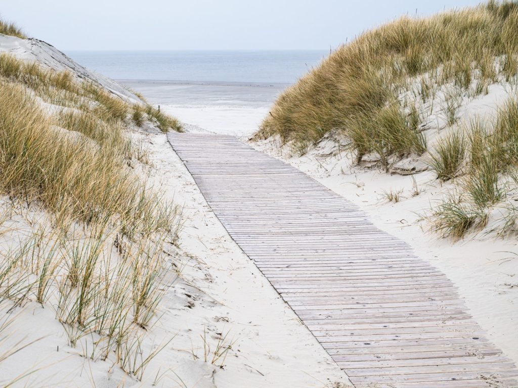 Noch nicht innerlich aus den Ferien zurück? © Foto: Carsten Zündorf Hinweis zum Fotografen »