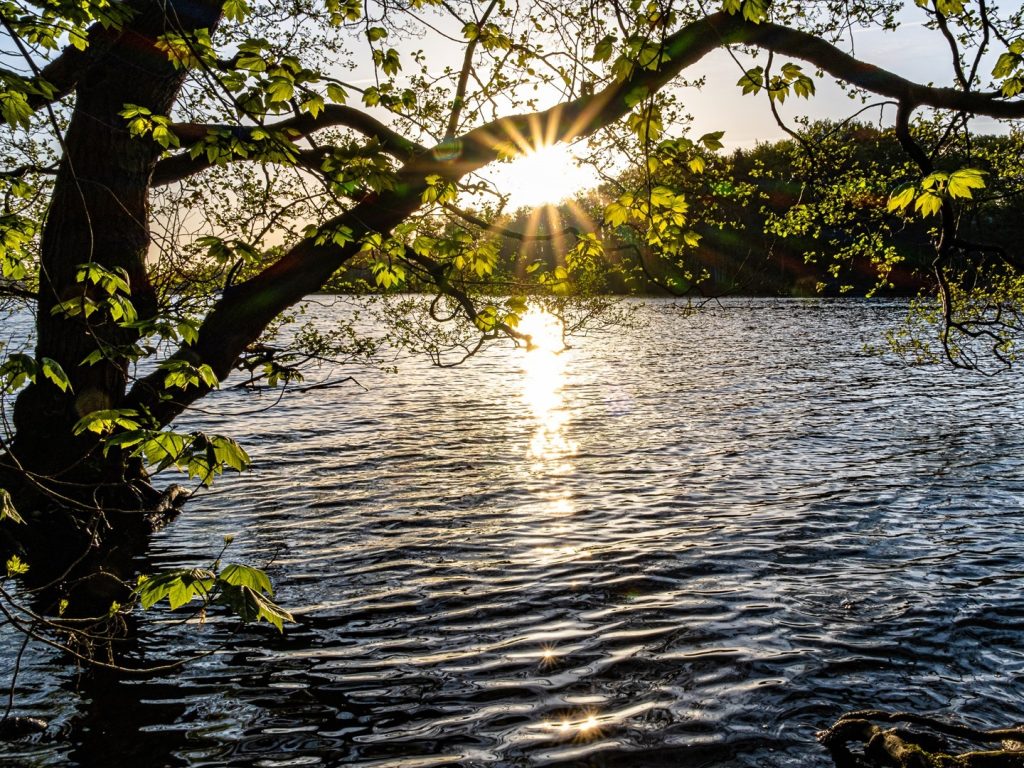 Übergänge sind Bewegungen des Lebens. © Foto: Carsten Zündorf Hinweis zum Fotografen »