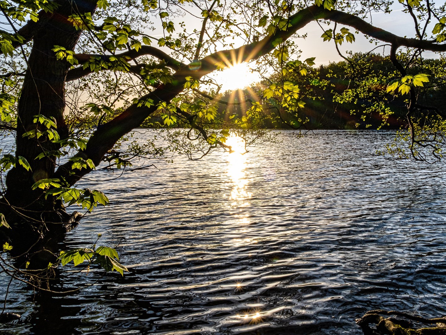 Übergänge sind Bewegungen des Lebens. © Foto: Carsten Zündorf Hinweis zum Fotografen »