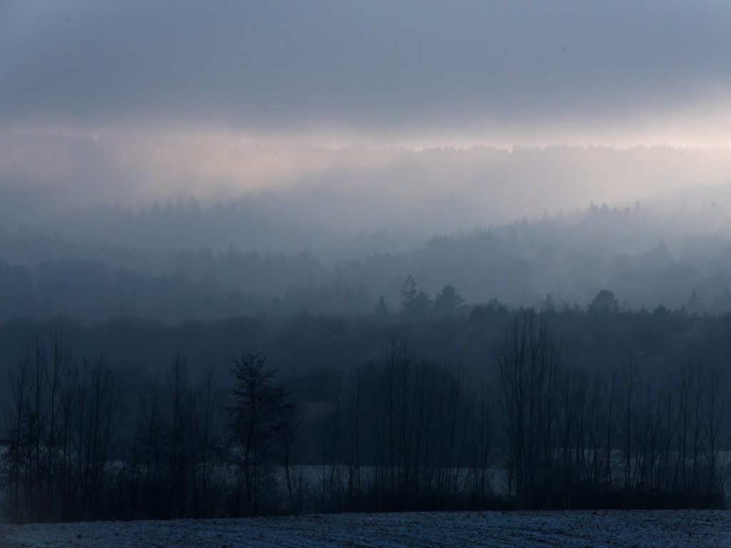 Im Nebel der Möglichkeiten – Führen heißt, trotzdem zu gehen. © Foto: Carsten Zündorf Hinweis zum Fotografen »